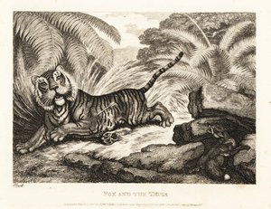 Lis obserwuje rannego tygrysa. 1811 (akwaforta) autorstwa Samuel Howitt