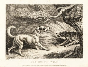 Pies domowy w obroży oferuje jedzenie głodnemu wilkowi. 1811 (akwaforta) autorstwa Samuel Howitt