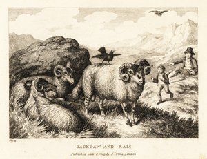 Kawka śpiewa na grzbiecie barana. 1811 (akwaforta) autorstwa Samuel Howitt