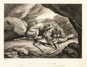 Lew jedzący zwłoki jelenia w jaskini. 1811 (akwaforta)
