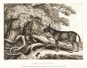 Małpa i osioł jęczą, dopóki kret ich nie uciszy. 1811 (akwaforta)