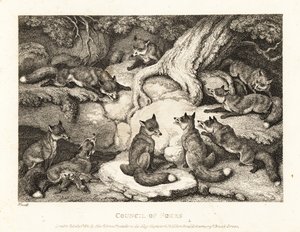 Stado lisów spotykających się w lesie. 1811 (akwaforta) autorstwa Samuel Howitt
