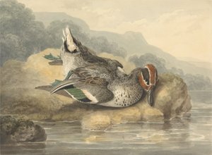  autorstwa Samuel Howitt