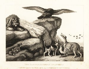 Ptak Jowisza upominający zgromadzenie zwierząt. 1811 (akwaforta)