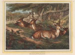  autorstwa Samuel Howitt