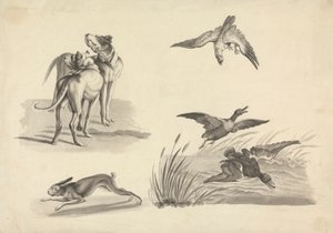 Arkusz badań psów gończych, zajęcy, sokołów i kaczek autorstwa Samuel Howitt