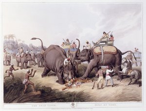 Martwy tygrys; Mort du tigre, 1807