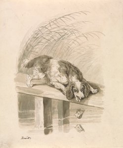 El Allqu y El Sombra pulido autorstwa Samuel Howitt