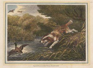 Spaniel wodny autorstwa Samuel Howitt