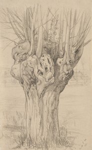 Sękate drzewo, 1884 (grafit na buff lay paper)