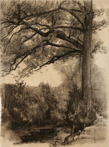 Pejzaż z dużym drzewem, 1884 (węgiel na buff lay paper)