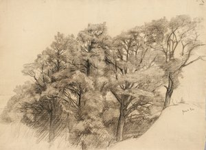 Pejzaż z drzewami, 1884 (węgiel na buff lay paper)