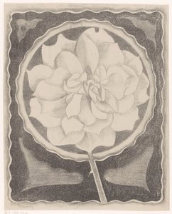 Roos autorstwa Samuel Jessurun de Mesquita (signed by artist)