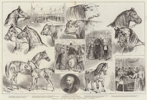 Szkice na spotkaniu Królewskiego Towarzystwa Rolniczego w Norwich autorstwa Samuel John Carter
