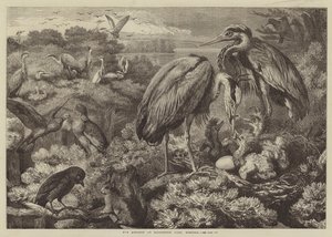 Czapla w Didlington Park, Norfolk autorstwa Samuel John Carter