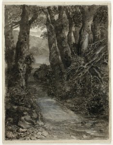 Badanie leśne autorstwa Samuel Palmer