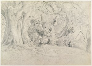 Starożytne drzewa, park Lullingstone, 1828 (grafit na papierze) autorstwa Samuel Palmer