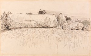 Pola kukurydzy ze stodołą, Shoreham autorstwa Samuel Palmer