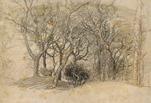 Studium drzew, Clovelly Park, 1834 autorstwa Samuel Palmer