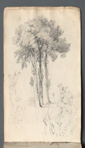 Szkicownik: Studium drzew, 1814. autorstwa Samuel Prout