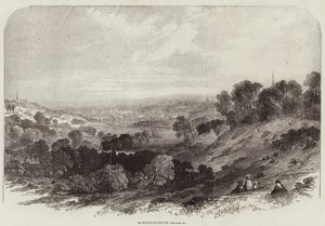 Hampstead-Heath autorstwa Samuel Read