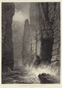 Na wybrzeżu Sutherland, szczyt sezonu