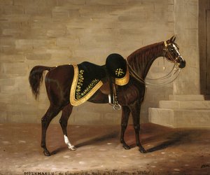 Kopenhaga, ładowarka księcia Wellington w Waterloo