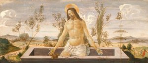 Chrystus w grobie autorstwa Sandro Botticelli