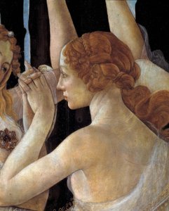 Wiosna autorstwa Sandro Botticelli
