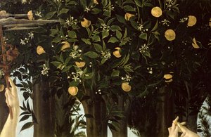 Primavera, fragment drzewa pomarańczowego, tempera z ok. 1478 r. na panelu autorstwa Sandro Botticelli