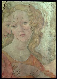 Wenus i trzy łaski ofiarowujące prezenty młodej dziewczynie, fragment jednej z łask, ok.1483 fragment fresku z 33760 zob. także 93891-2, 93894