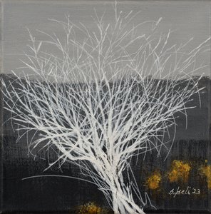  autorstwa Sandy Iseli