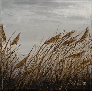  autorstwa Sandy Iseli