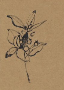 Botaniczna ilustracja w barwach ziemi autorstwa Santhosh ch