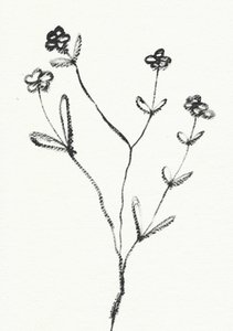 Minimalistyczny rysunek botaniczny autorstwa Santhosh ch