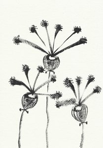 Minimalistyczny rysunek botaniczny autorstwa Santhosh ch