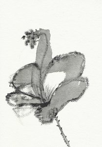 Monochromatyczne studium kwiatowe autorstwa Santhosh ch