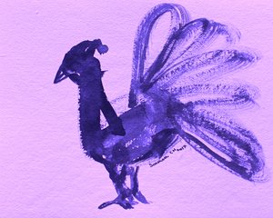 Królewski purpurowy paw
