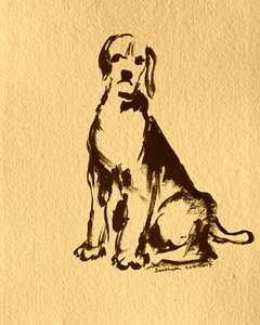 Szkic siedzącego beagle