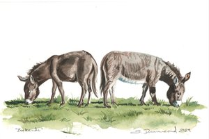 Bookends, 2024 (akwarela na papierze)