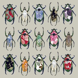 Beetledrive, 2008 (cyfrowy)