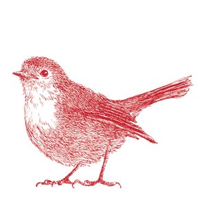 Robin, 2017 autorstwa Sarah Hough