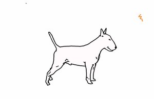 Bullterrier,2018,(rysunek cyfrowy) autorstwa Sarah Thompson Engels
