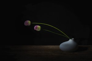  autorstwa Saskia Dingemans
