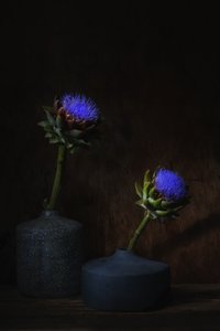  autorstwa Saskia Dingemans