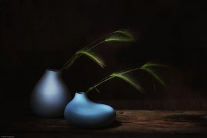  autorstwa Saskia Dingemans