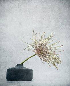  autorstwa Saskia Dingemans