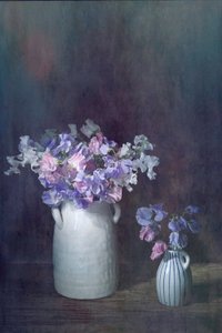  autorstwa Saskia Dingemans