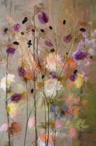  autorstwa Saskia Dingemans