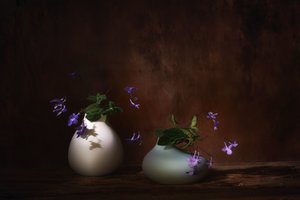  autorstwa Saskia Dingemans